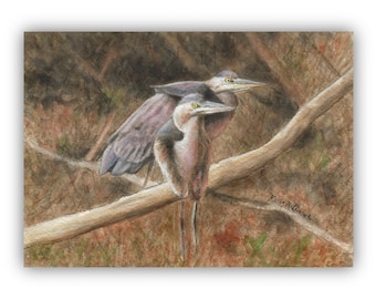 Great Blue Herons - ORIGINAL Watercolor Bird Painting 5"x7" Art, river art, nature art, illustration, home decor, woodland, wildlife, bird