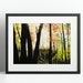 see more listings in the Landscapes section