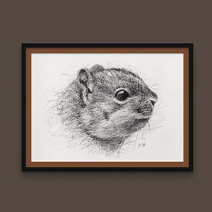 May include: A black and white pencil drawing of a squirrel's head, with the squirrel looking to the right. The drawing is done in a scribble style.