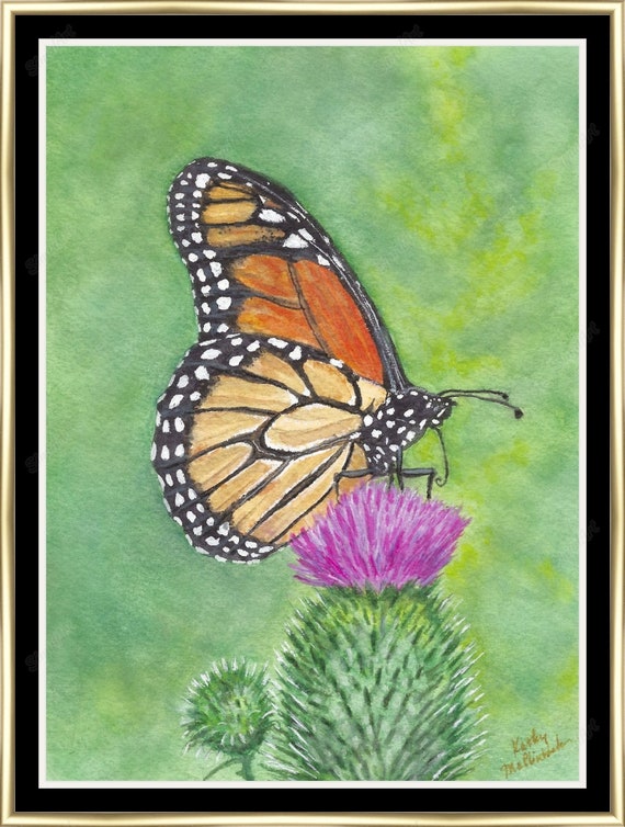 Monarch Butterfly Original Watercolor Painting Flowers Butterfly