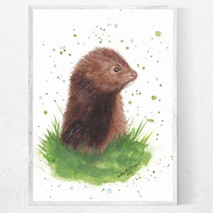 American Mink - Original Painting or a Print, Watercolor Painting, wildlife, nature art, home decor, woodland, river, wall art, gift
