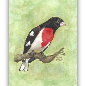 Rose-breasted Grosbeak Print or Original: Watercolor Songbird Art
