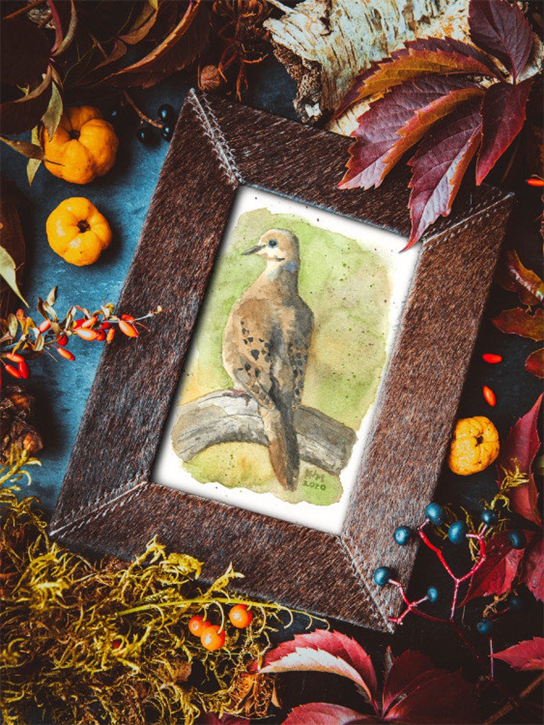Mourning Dove PRINT of my original Watercolor Bird Painting, nature art, songbird, illustration, wildlife, wall art, home decor, gift image 8