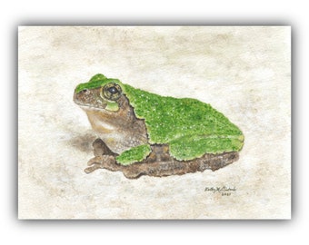 Gray Tree Frog - ORIGINAL Watercolor Painting 5"x7" Art, nature art, wildlife, wall art, home decor, woodland, illustration, gift