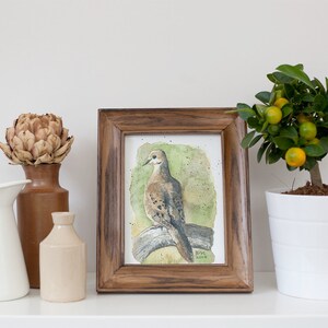 Mourning Dove PRINT of my original Watercolor Bird Painting, nature art, songbird, illustration, wildlife, wall art, home decor, gift image 7