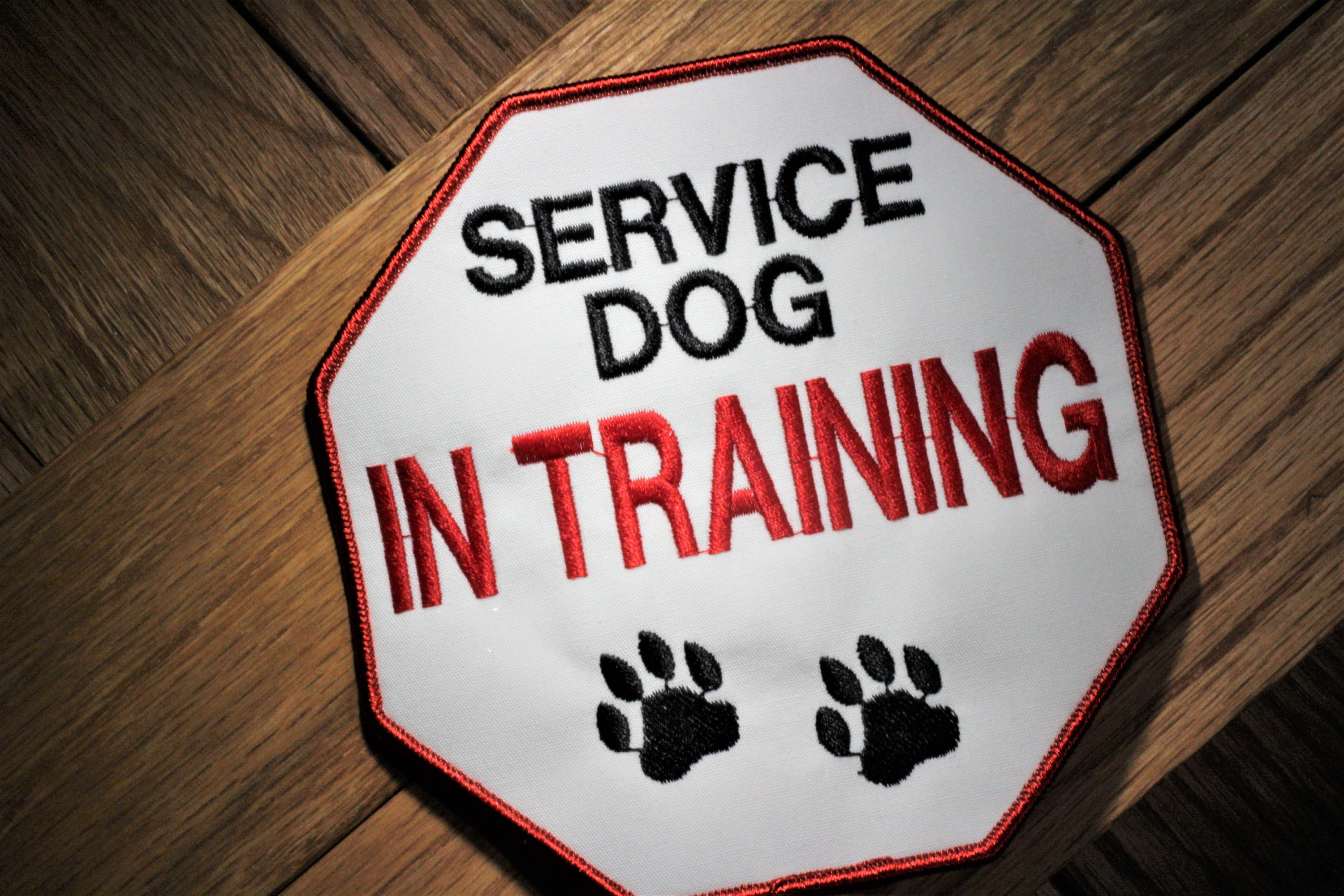 Innotek Dog Training Collars for sale Only 2 left at 70