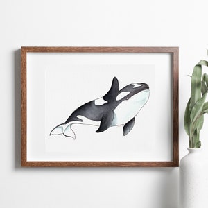 Orca, Watercolor Orca, Watercolor Whale, Watercolor Art Print, Under the Sea, Nautical, Killer Whale, Whale, Whale Illustration, Wall Art