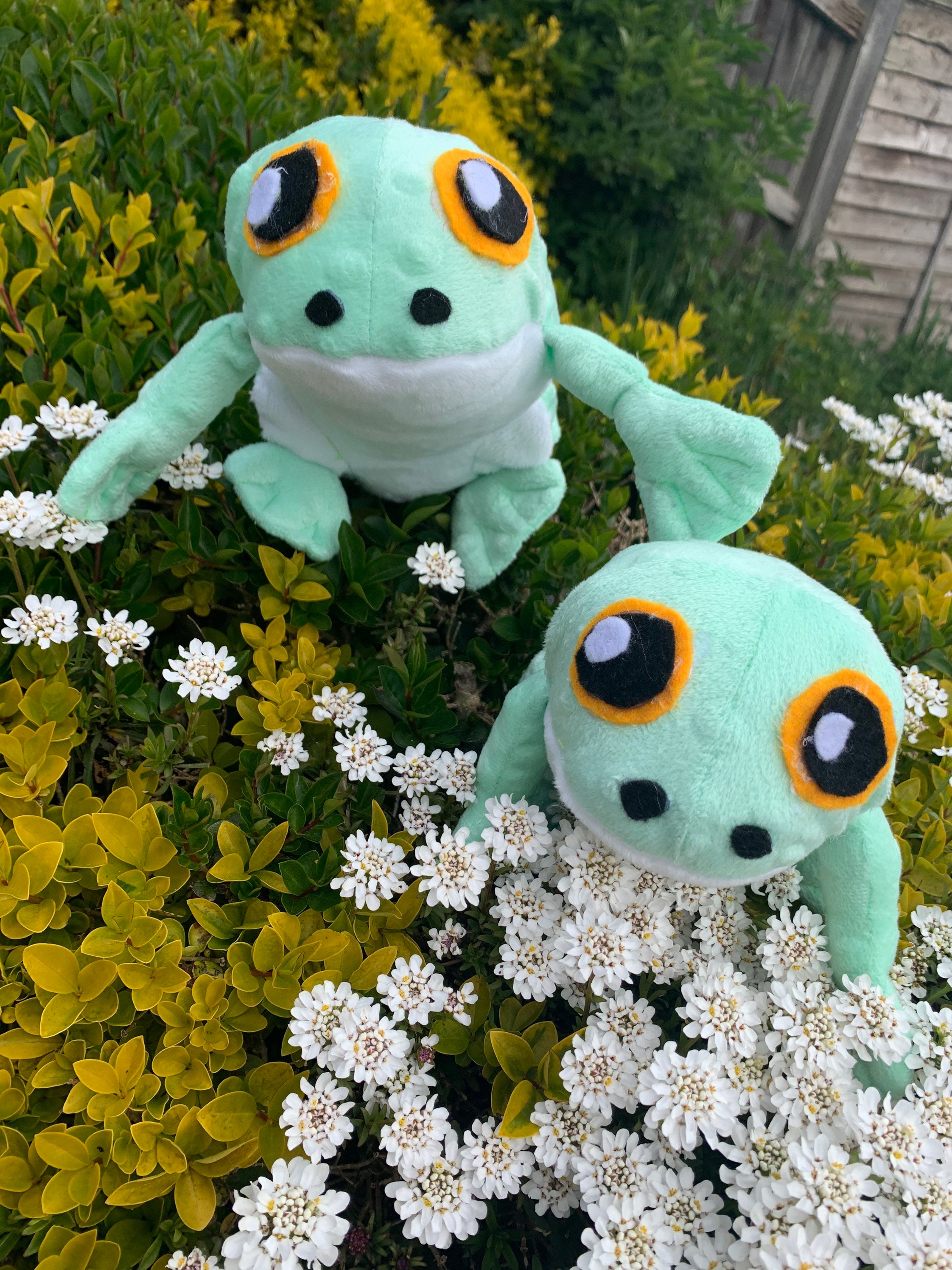 Reasons Why Lewd Froggo Is Taking Over The Internet. - r1c1fg8