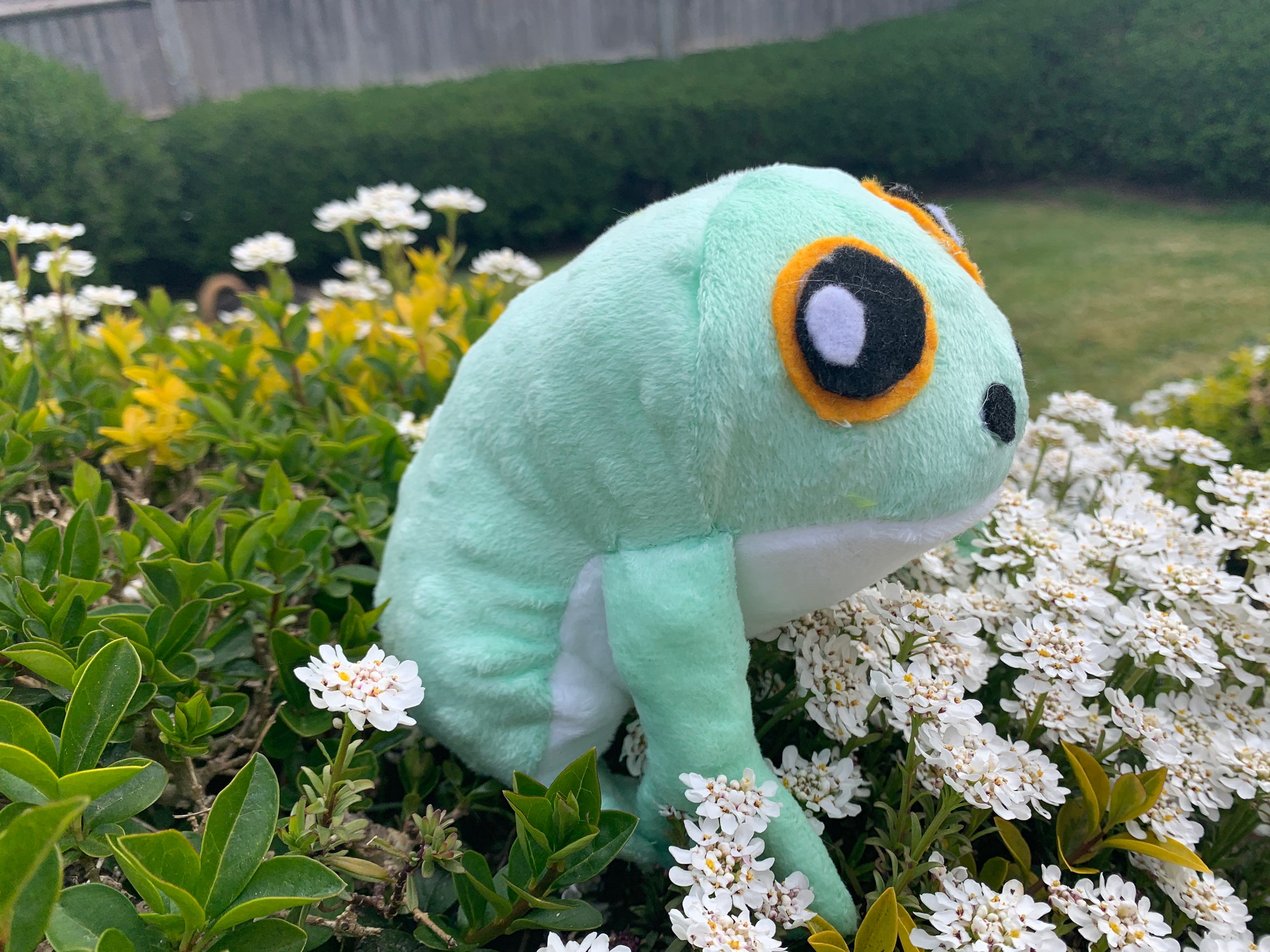 Reasons Why Lewd Froggo Is Taking Over The Internet. - r4zmv4q