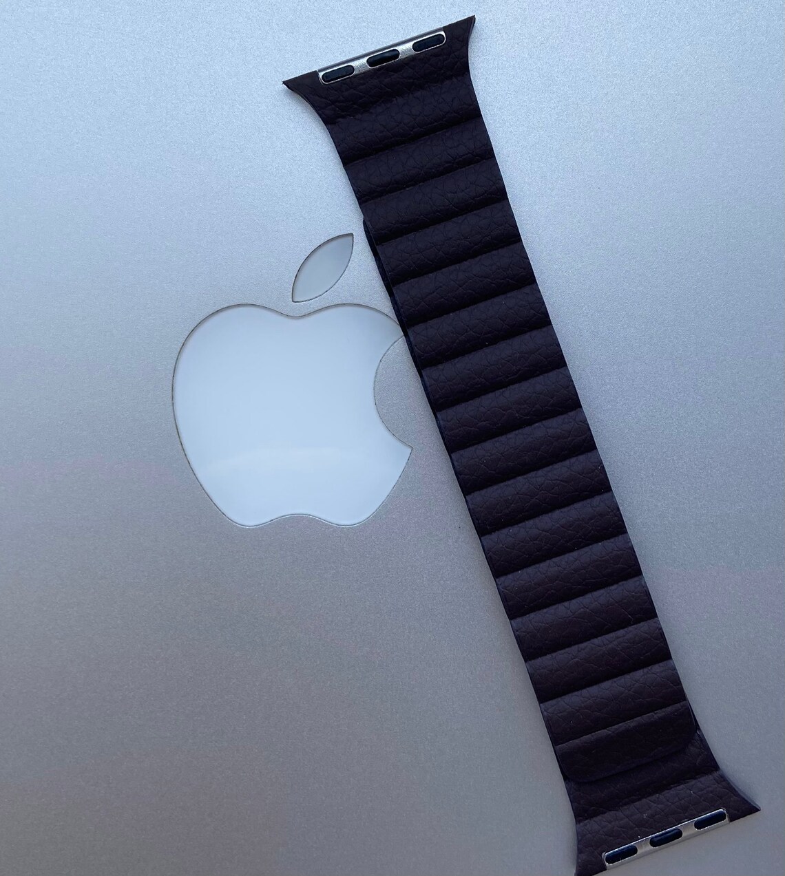 apple se strap