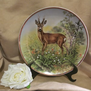 Rare vintage plate produced by Kahla Germany - 11.Int.TSG-Volkswandertage 16.u.17.5.81 Aalen-Hofherrnweiler