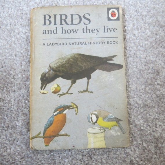 Vintage Ladybird Book - 'Birds and How They Live' - Series 651 - Bird Book - Collectible