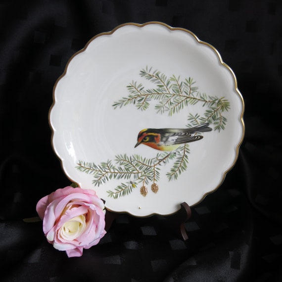 Collectible Plates Birds Dorothy Doughty Royal Worcester 1975 Limited Edition Blackburnian Warbler & Western Hemlock