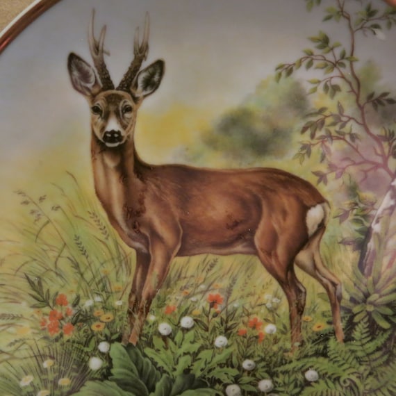 Rare Vintage Plate Produced by Kahla Germany - 11.int.tsg