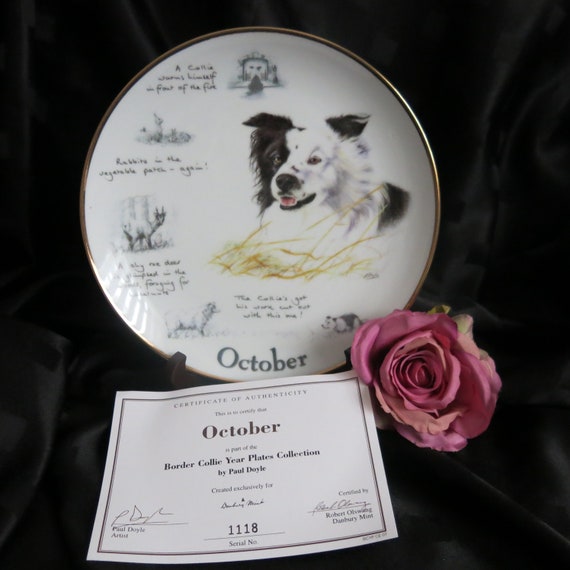 Danbury Mint Border Collie Year Plates Collection October by Paul Doyle With Certificate of Authenticity Etsy