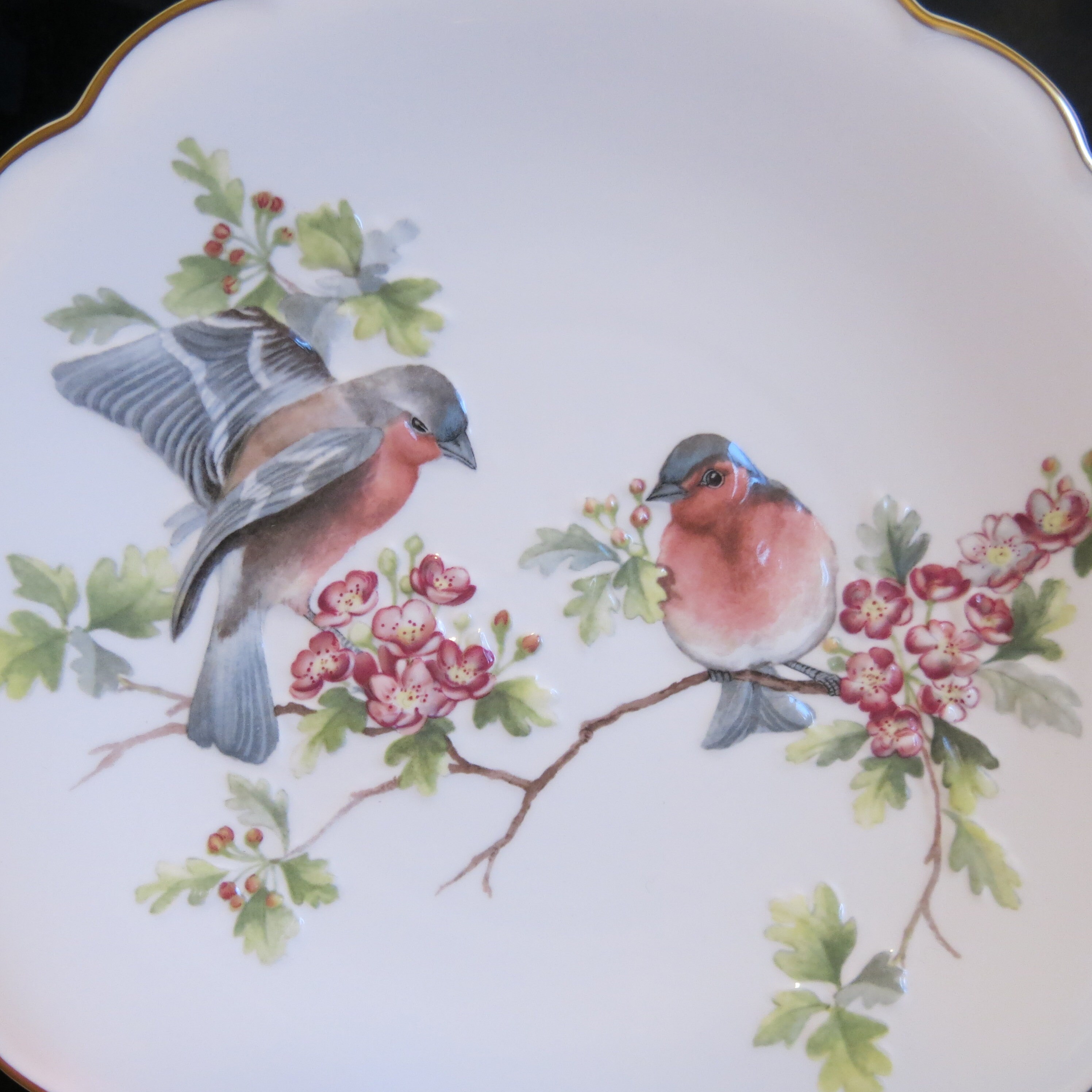 Vintage Royal Worcester Dessert Plate: Chaffinches on May