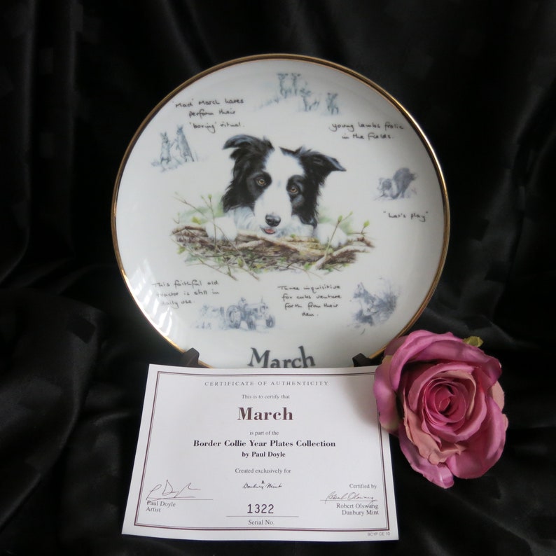 border collie plates