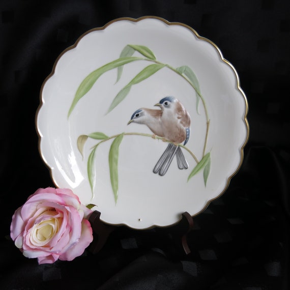 Vintage Collectible Bird Plate by Royal Worcester 1976 Limited Edition Blue-Winged Sivas part of the Birds of Dorothy Doughty Dessert Plates