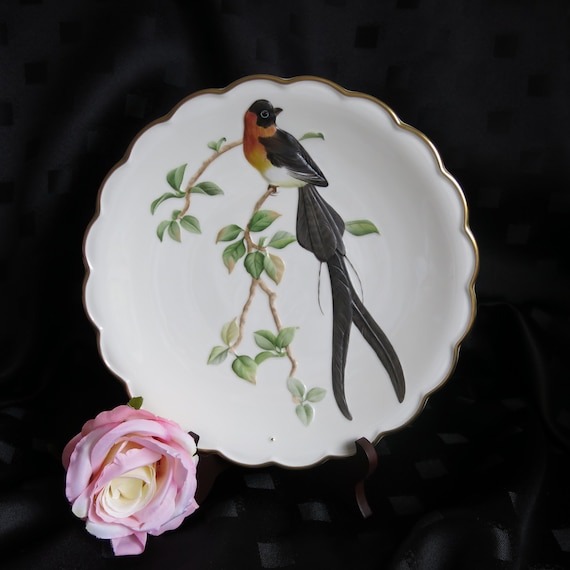 Collectible Plate Birds Vintage by Royal Worcester Limited Edition Paradise Wydah part of the Birds of Dorothy Doughty