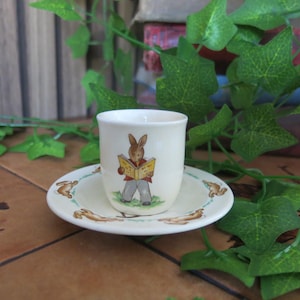 May include: A small, off-white ceramic teacup and saucer set. The teacup features a cartoon rabbit reading a book, wearing a red jacket and gray pants. The saucer has a green border and rabbit illustrations. The set is likely for children.