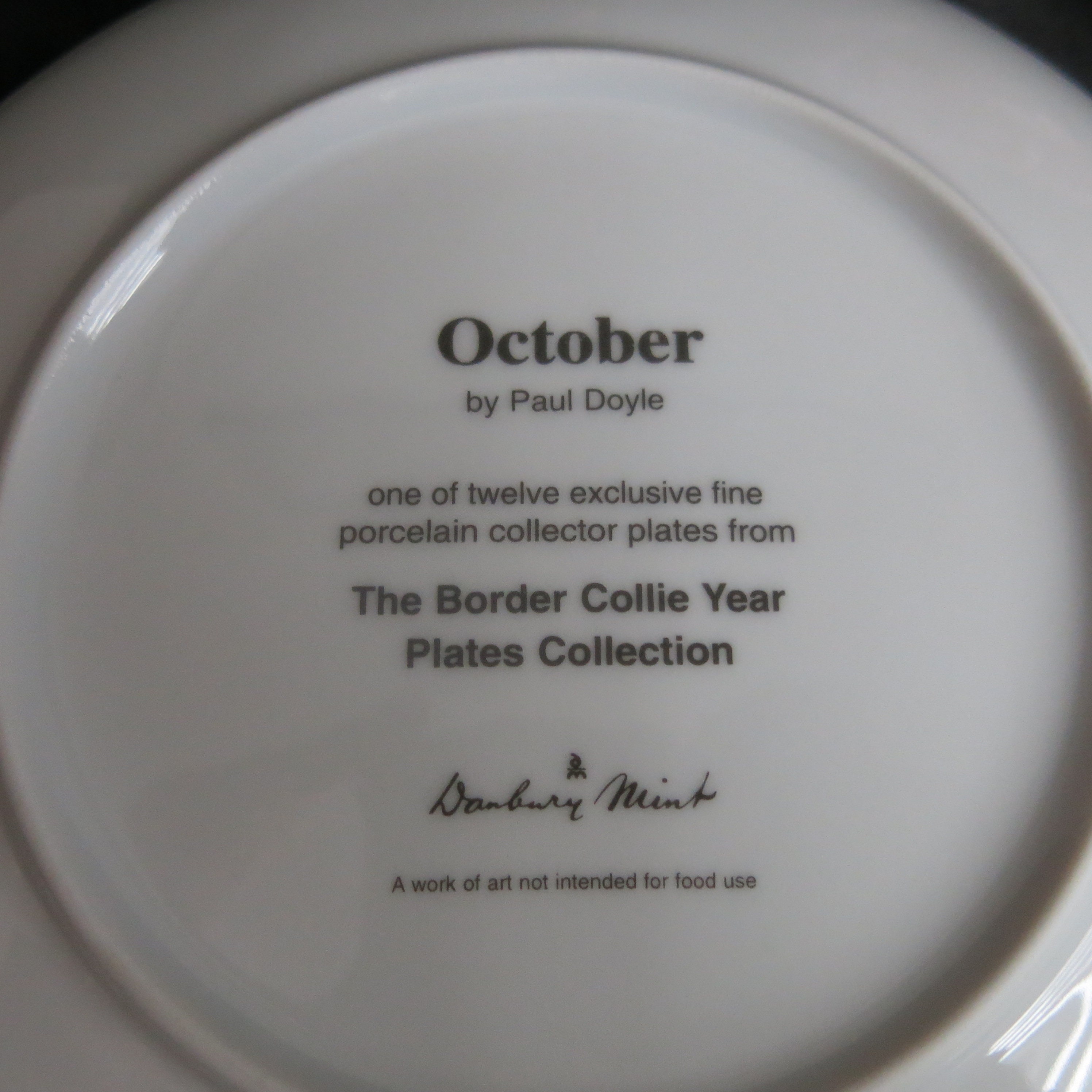 Danbury Mint Border Collie Plate - October, Paul Doyle Art - Etsy