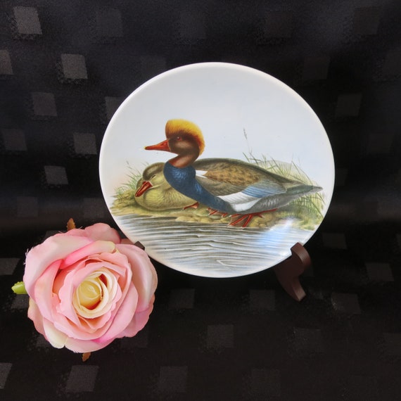 Vintage Poole Pottery Plate - Red Crested Duck, John Gould 1804 - 1881 - Collectible - Rare - 15 cm Diameter