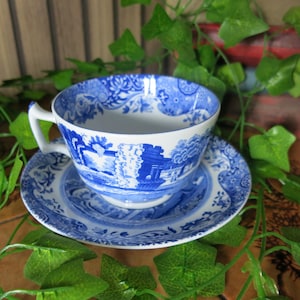 Op de afbeelding: Een blauw-witte kop en schotel set. De kop en schotel hebben een gedetailleerd landschapsontwerp. De kop heeft een wit handvat. De set staat op een houten oppervlak met groene bladeren.