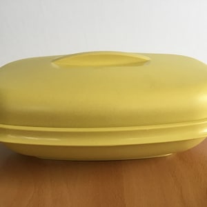 Può includere: Un piatto da portata ovale giallo con un coperchio. Il piatto ha una finitura liscia e lucida e un bordo leggermente rialzato.