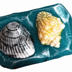May include: A teal blue rectangular stone with a white and gray seashell and a white and yellow seashell embedded in it.