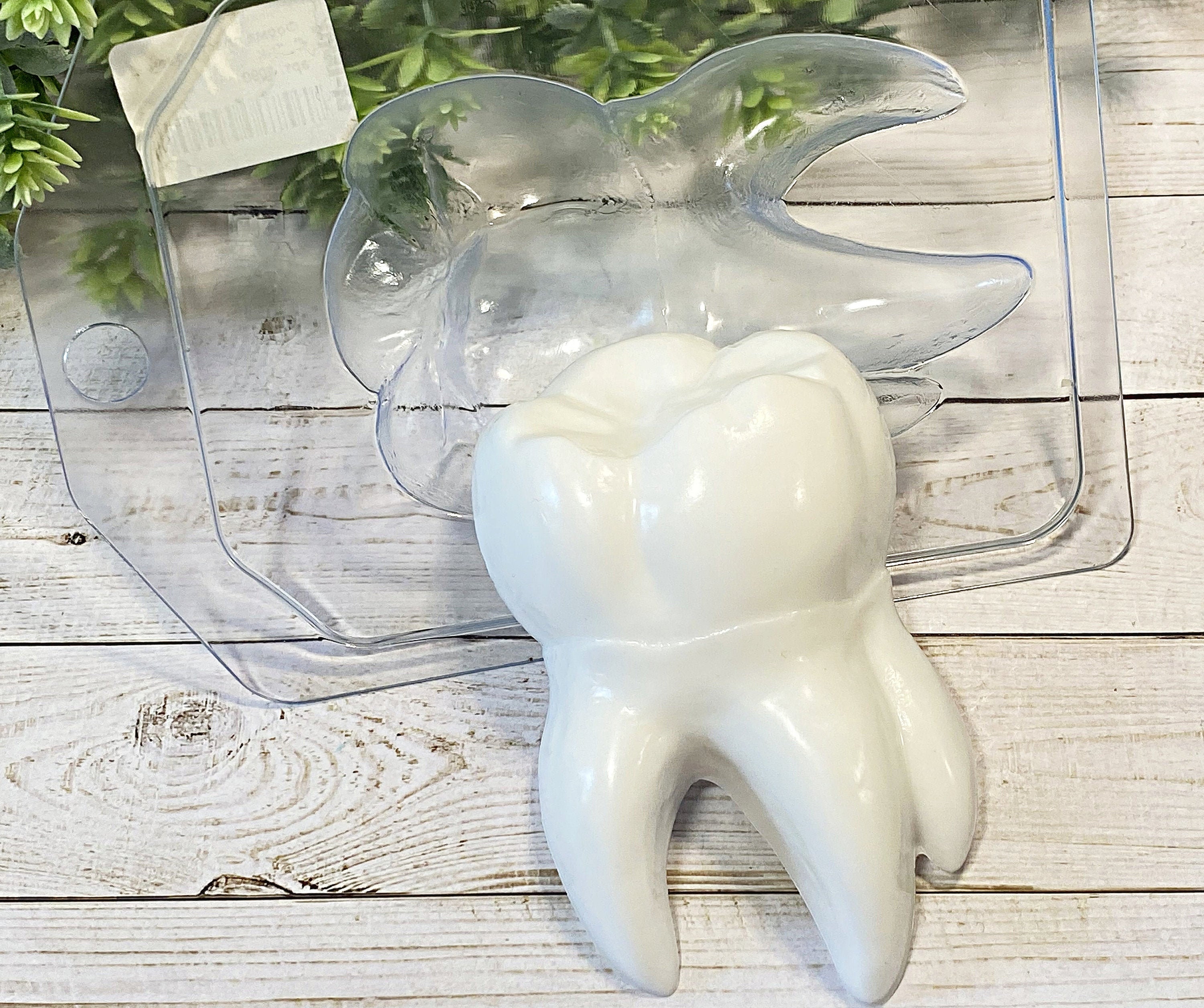 Tooth Plastic Moldtooth Molddental Medical Moldplastic Etsy UK