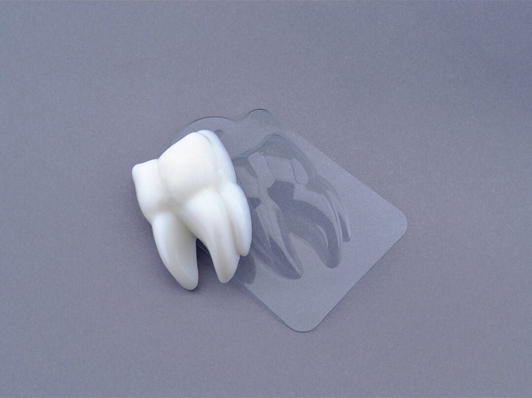 Teeth Plastic Moldmolar Teeth Moldmedical Theme Molddiy Etsy