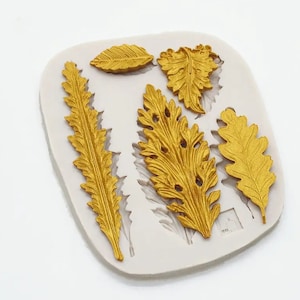 May include: A white silicone mold featuring six gold-colored leaf designs. The leaves vary in shape and size, including a long, slender leaf, and several oak-like leaves. The mold is designed for creating decorative elements.