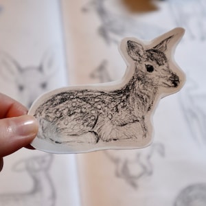 Fawn/Deer Drawing Sticker