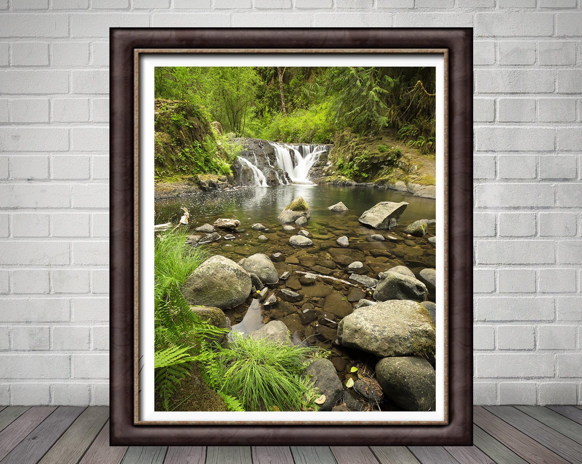 Pequeño arroyo con una cascada en un bosque Pacific | Etsy