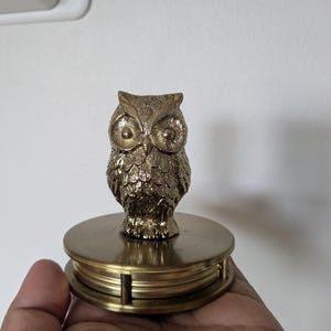 Vintage Eulen-Lupe aus Messing - Messing, Schreibtischdekoration, Retro Briefbeschwerer, Geschenk für Eulenliebhaber