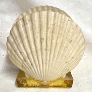 May include: A large, off-white, ribbed scallop shell mounted on a rectangular, translucent amber-colored resin base. The base features the handwritten text O'Leary P.E.I. in white script, indicating its origin from Prince Edward Island.
