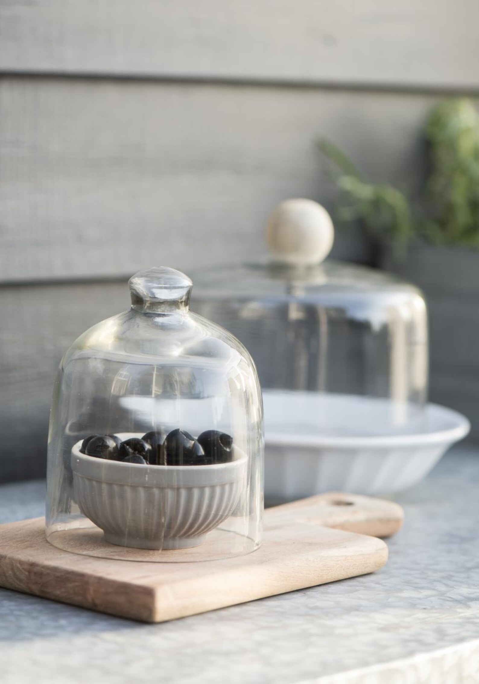 Glass Bell Jar Dome Lid Cover Etsy