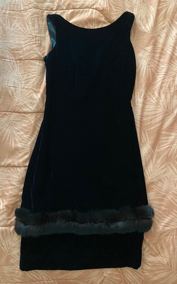 Vintage Velvet and Mink Dress