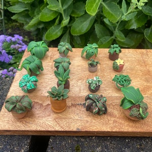 Mini Plants, tiny potted plants, indoor plant decor, greenery and plants, polymer clay flowerpot
