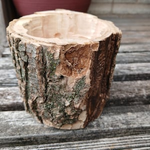 Maceta con forma de tronco de árbol