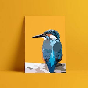 Impression King Fisher