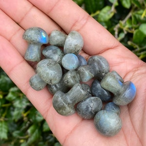 Labradorite Mini Mushroom | Crystal Mushroom