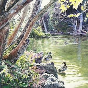 San Francisco, Golden Gate Park, Lake Scene, Watercolor Painting, Landscape, Fine Art Print, Wall Art