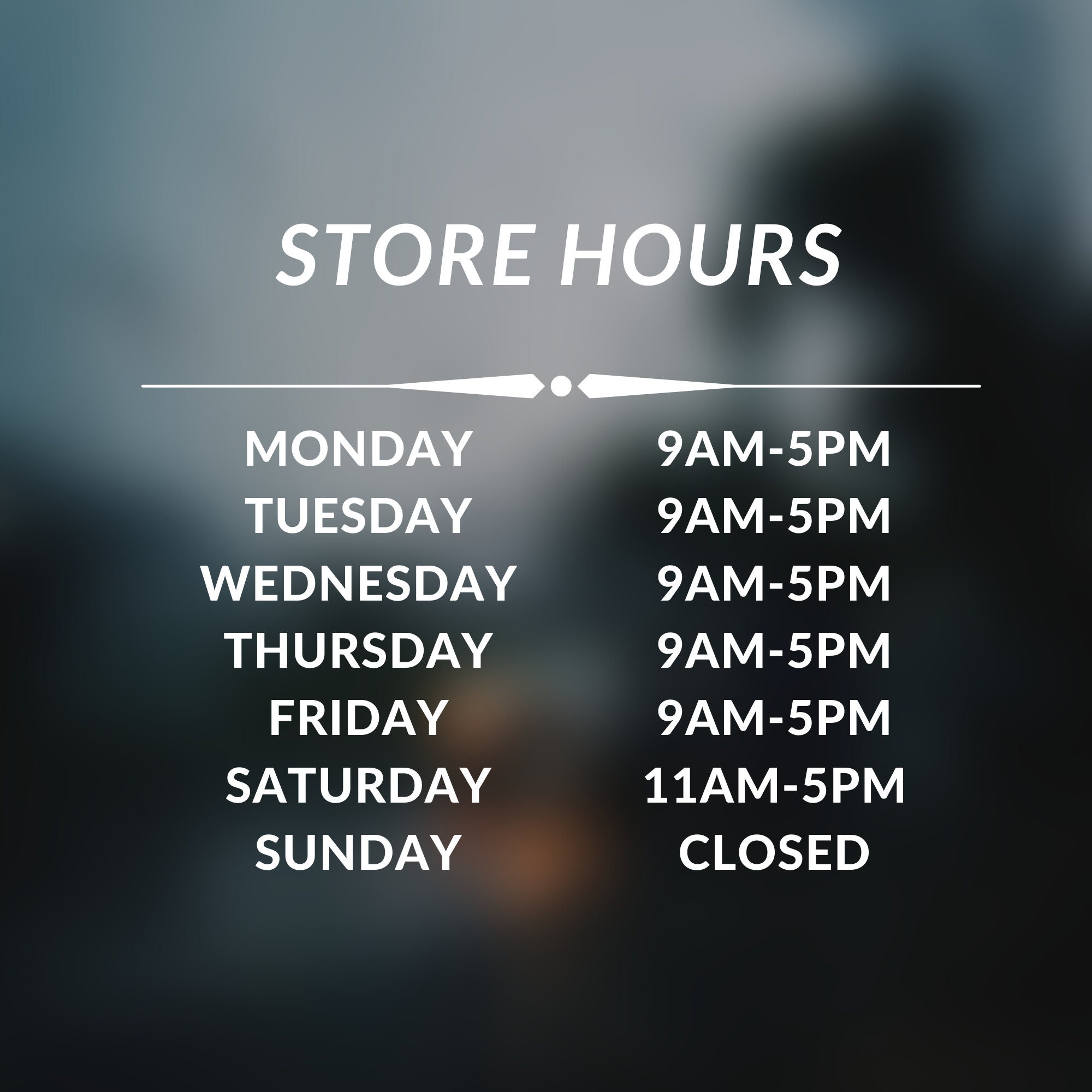 Store Hours Vinyl Decal Custom Store Hours Decal Store Etsy
