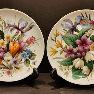 Könnte beinhalten: Zwei weiße Porzellanteller mit Blumendesigns. Die Teller zeigen einen Strauß bunter Blumen, darunter violette, gelbe, orange und blaue Blumen. Die Blumen sind in einem realistischen Stil gemalt.