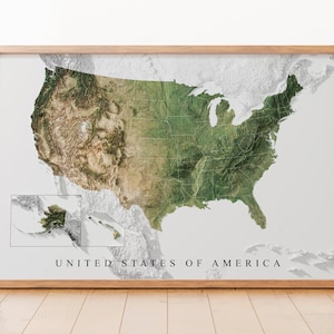 Detailed Topographic USA Map Art Print: Modern Office Decor