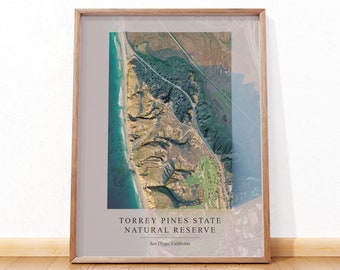 Torrey Pines Print, Torrey Pines Poster, Shaded Relief Map of Torrey Pines State Natural Reserve, Engagement Gift, Office Wall Decor for men