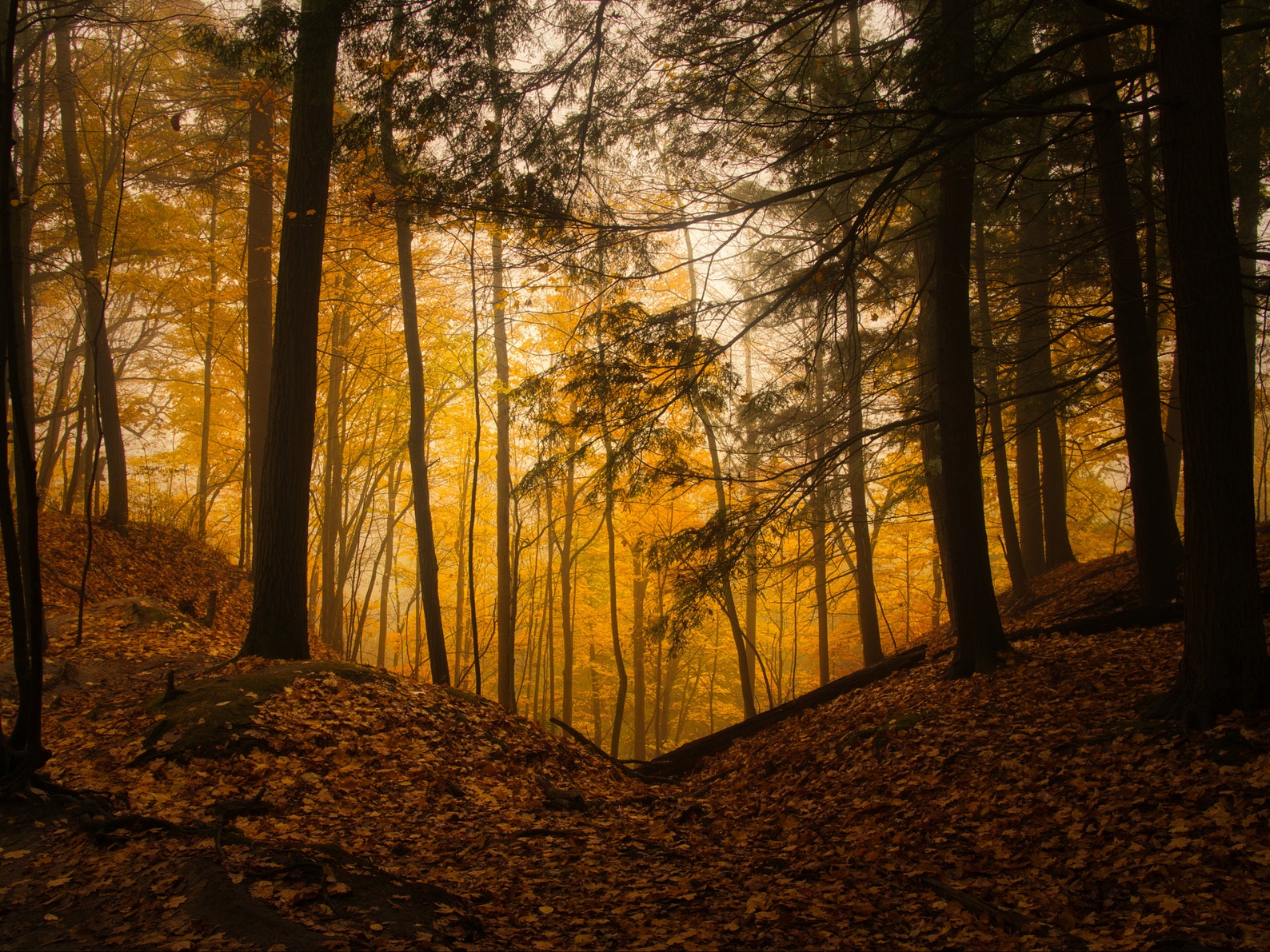 Cloudy weather paragraph picture