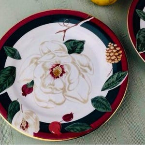 10 Stück~ &quot;Magnolia&quot; 4 Salatteller & 4 Suppentassen von Tienshan Magnolia Collection~ 2 Teetassen~ Vintage Circa 1996