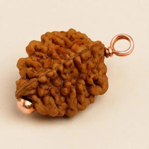Rudraksha Energized voor 2 paar Isha Dwimukhi Rudraksha-kraal/energie bij Dhyanalinga voor huwelijksrelaties